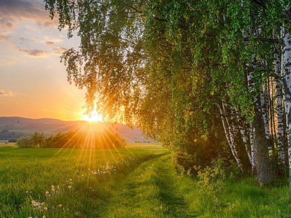 Фотографии солнца