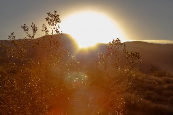 Красивый Восход