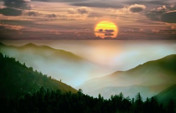 Солнце светит на поле