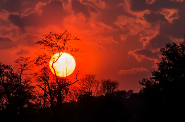 Закатное солнце