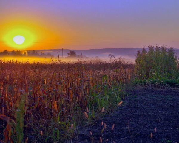 Тает на солнце