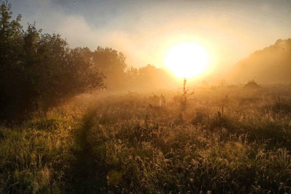 Рассвет солнце встает