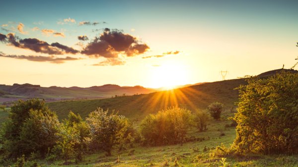 Лучи солнца в поле