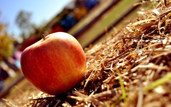 Грязное яблоко