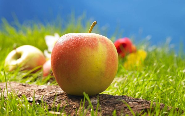 Яблоки обои