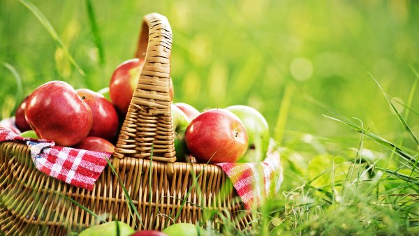 Корзины с яблоками