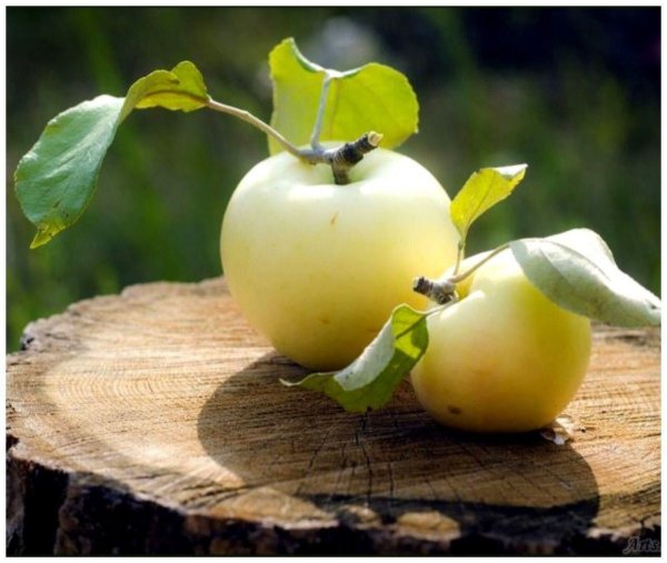 Корзинка с яблоками