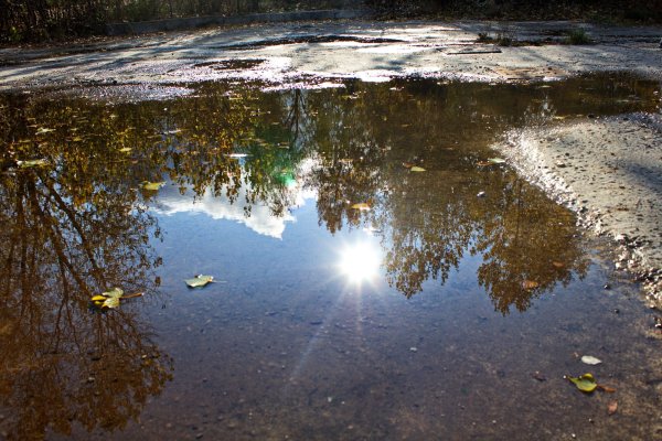 Отражение солнца в луже