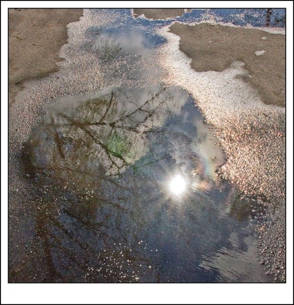 Солнце отражается в луже