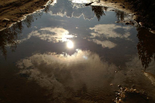 Солнце отражается в луже
