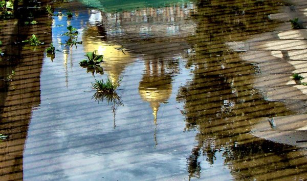 Солнечный зайчик