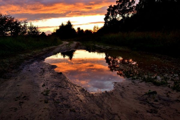 Золотая Весна