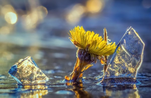 Отражение в воде абстракция