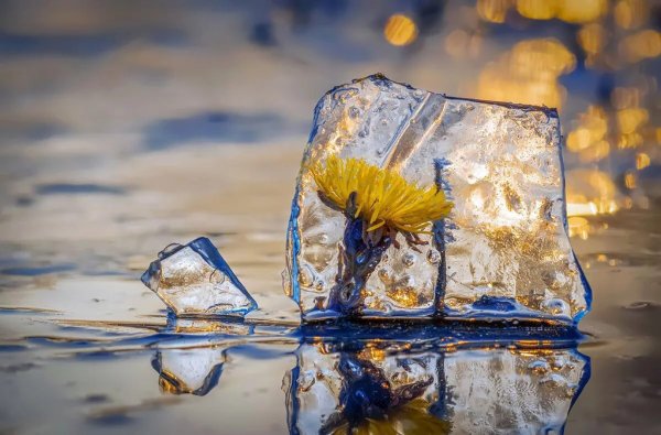 Круги на воде