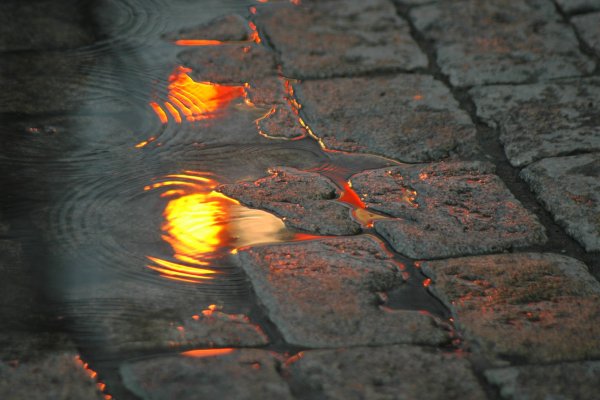 Отражение солнца в луже