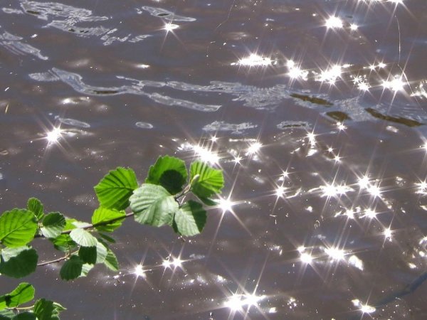 Весна лужа ручьи