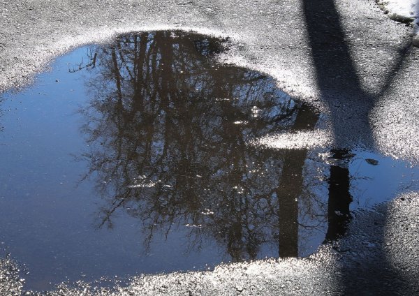Красивое отражение в луже