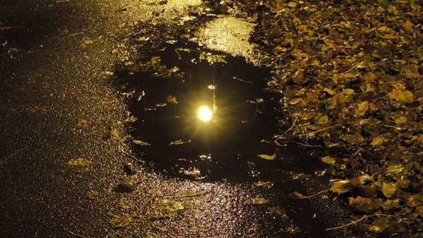 Отражение солнца в луде