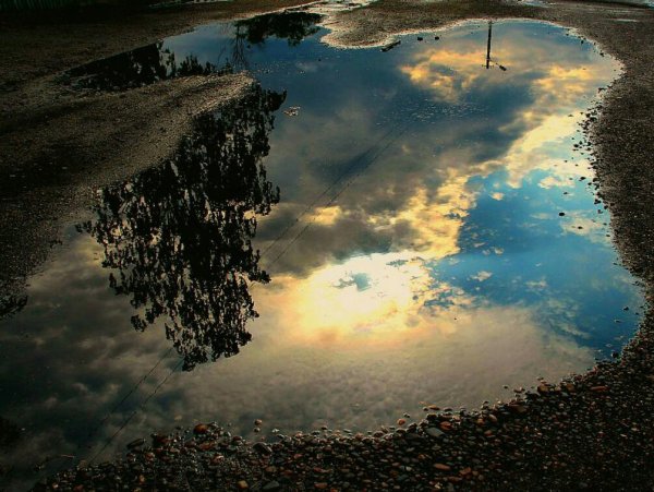 Солнце в луже