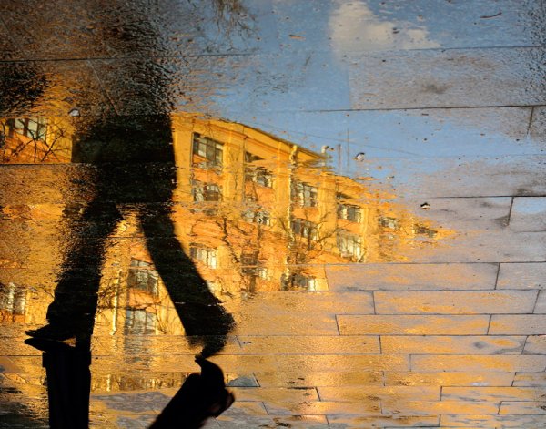 Солнце в луже