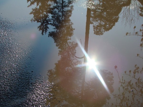 Фонарь отражается в луже