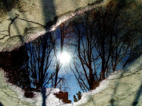 Красивая лужа