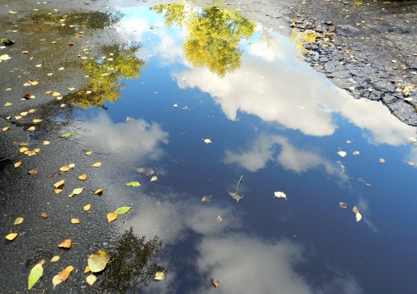 Весенние лужи