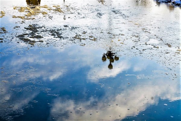 Дождь зонтик