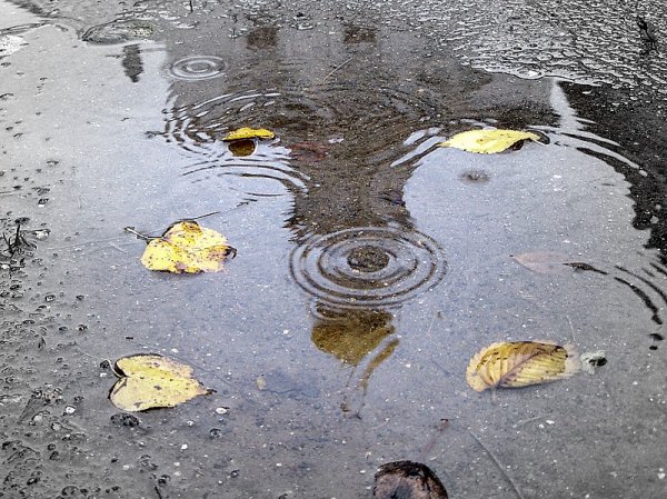 Зонтик под дождем