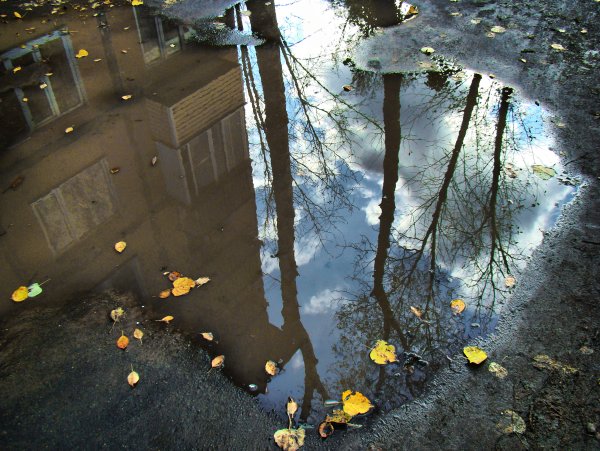 Мокрый асфальт