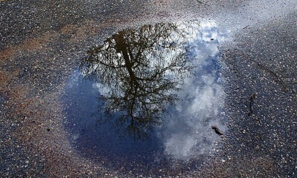 Весенние лужи