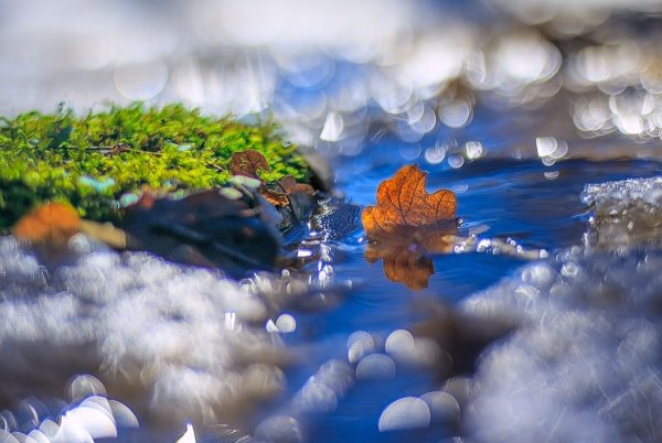 Бумажный кораблик