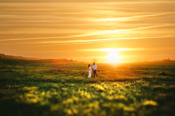Влюбленные в поле