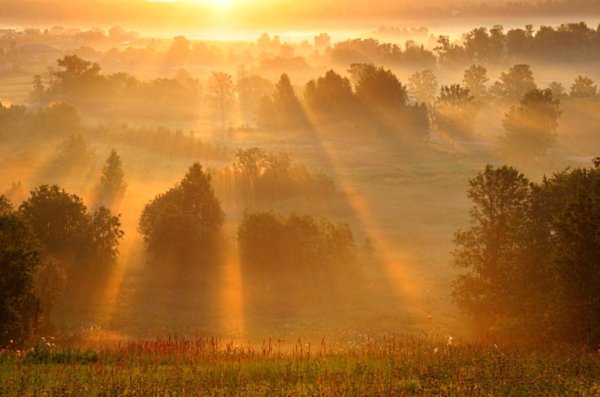 Рассвет лучи солнца