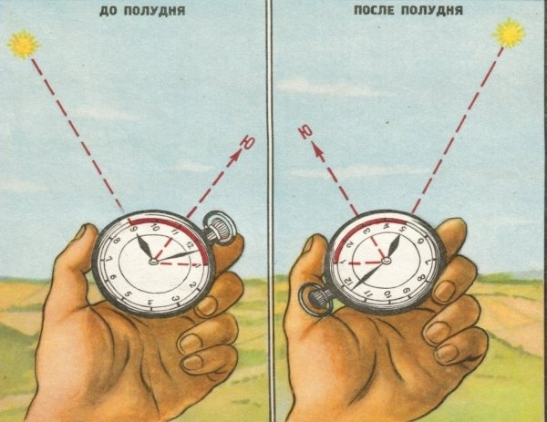 Сообщение ориентирование по солнцу