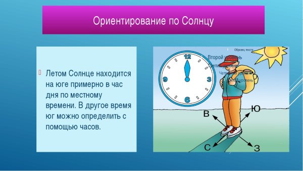 Стороны горизонта ориентирование