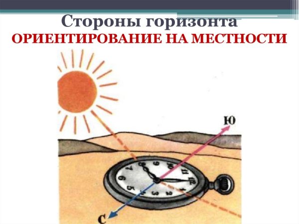 Ориентирование в лесу по звездам