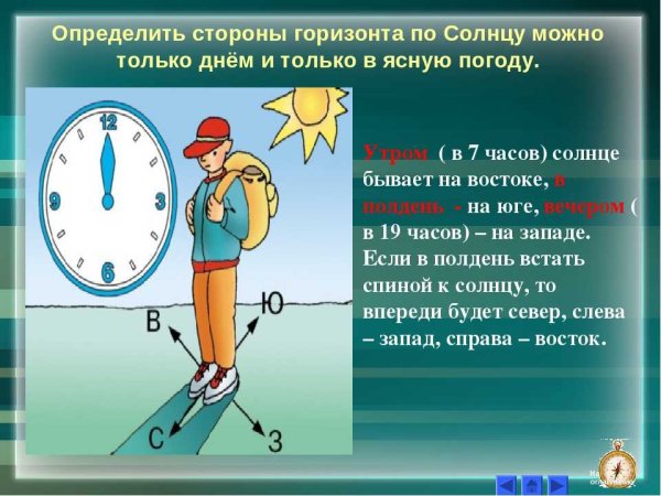 В полдень стороны горизонта по солнцу