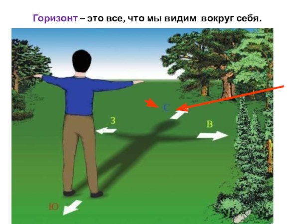 Стороны горизонта в полдень