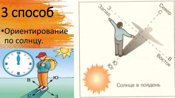 Ориентирование по солнцу по местным признакам