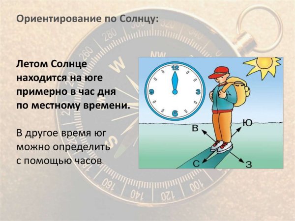 Рисунок ориентирование на местности