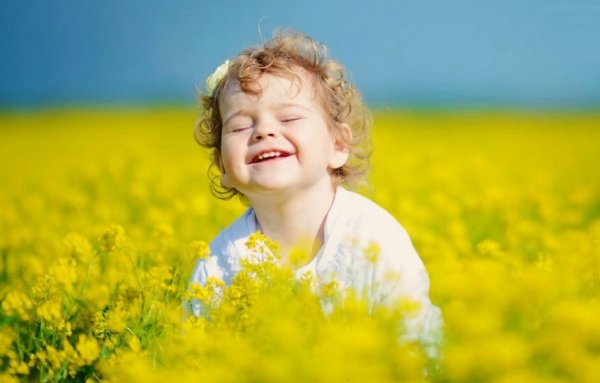 Солнце радость