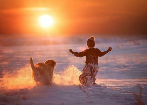 Сара Хаденфельдт