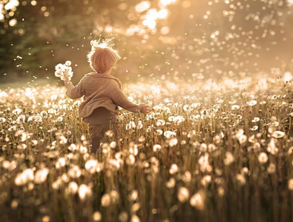 Душевные иллюстрации