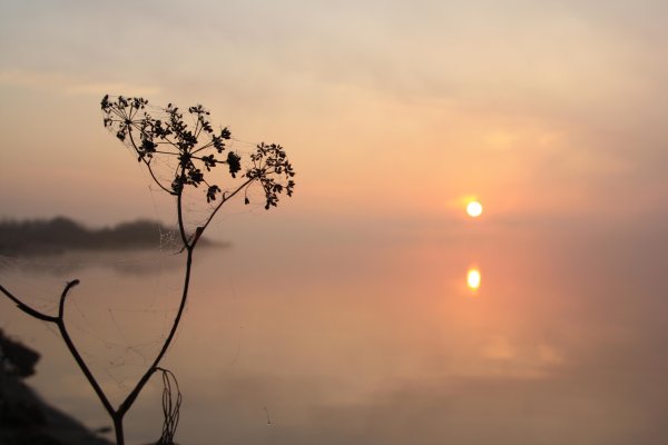 Солнечные лучи на землю
