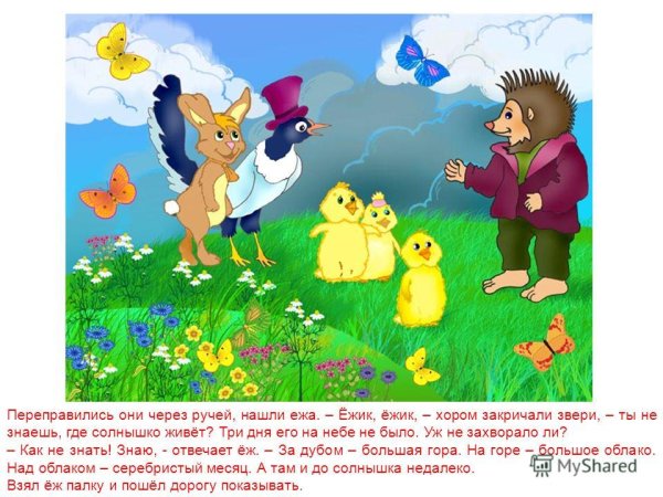 У солнышка в гостях книга