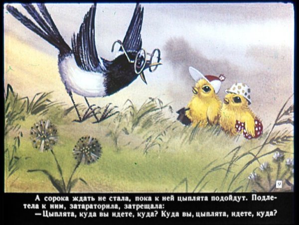 У солнышка в гостях иллюстрации