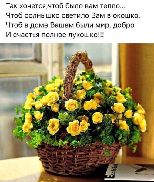 Тепло кому кто изучает свет