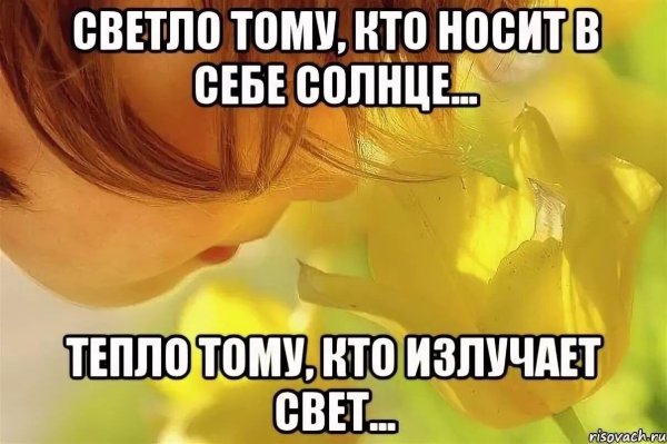 Весенние коты юмор