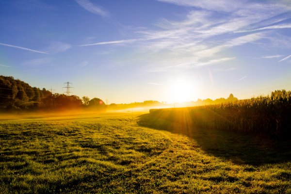 Солнце рассвет